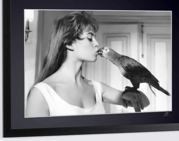 Captura de pantalla 2026 02 25 a las 17.36.22