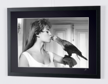 Captura de pantalla 2026 02 25 a las 17.36.46